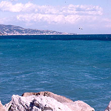 �t�����X�n���q��